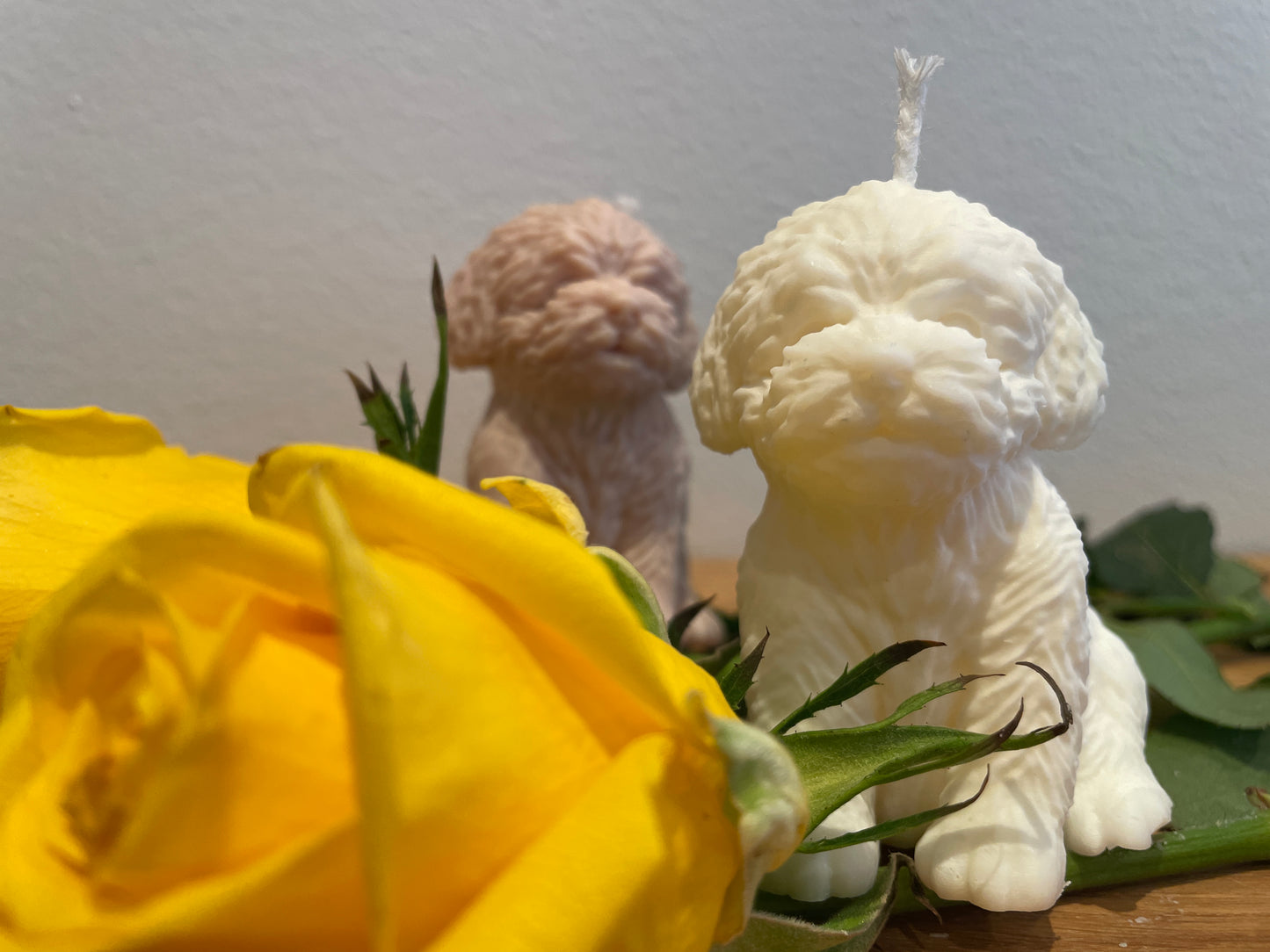Ljus Bichon