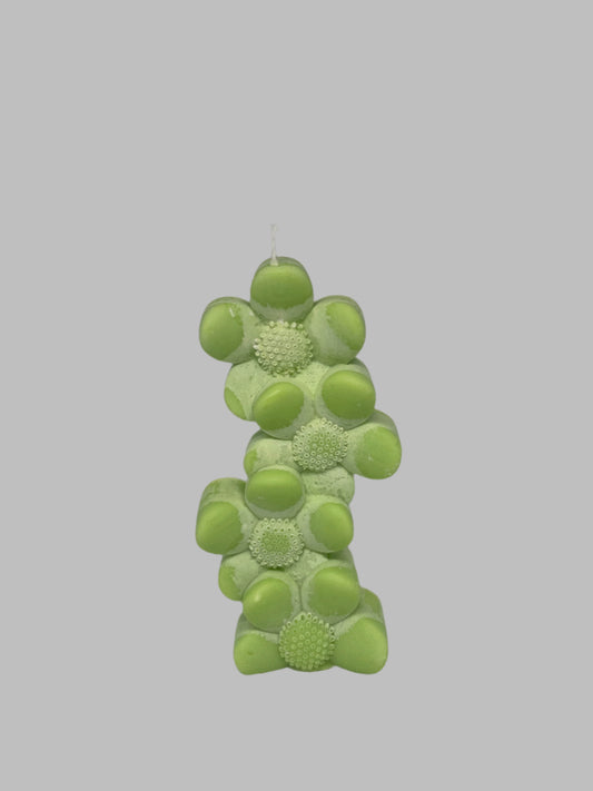 Ljus Blomma/ kaktus